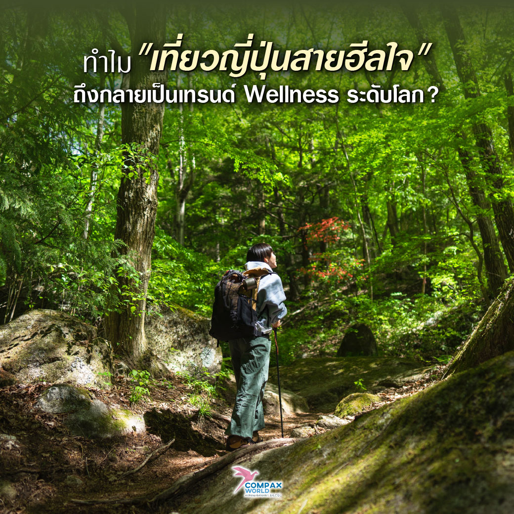 เที่ยวญี่ปุ่น ทัวร์ญี่ปุ่น ทัวร์ญี่ปุ่นพรีเมี่ยม โปรแกรมทัวร์ญี่ปุ่น